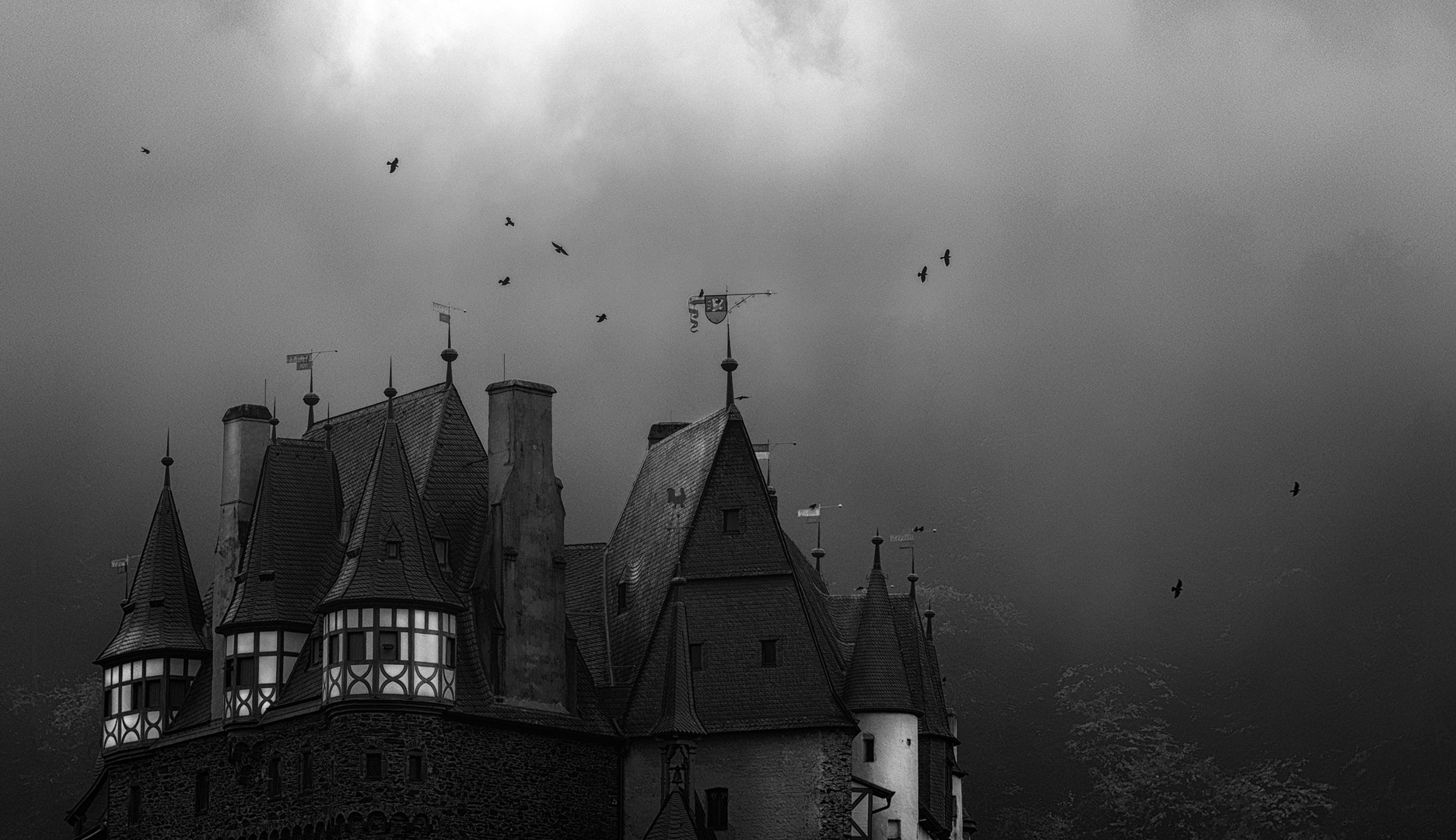 Raben über der Burg Eltz/2