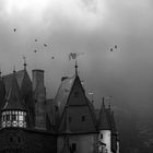 Raben über der Burg Eltz/2