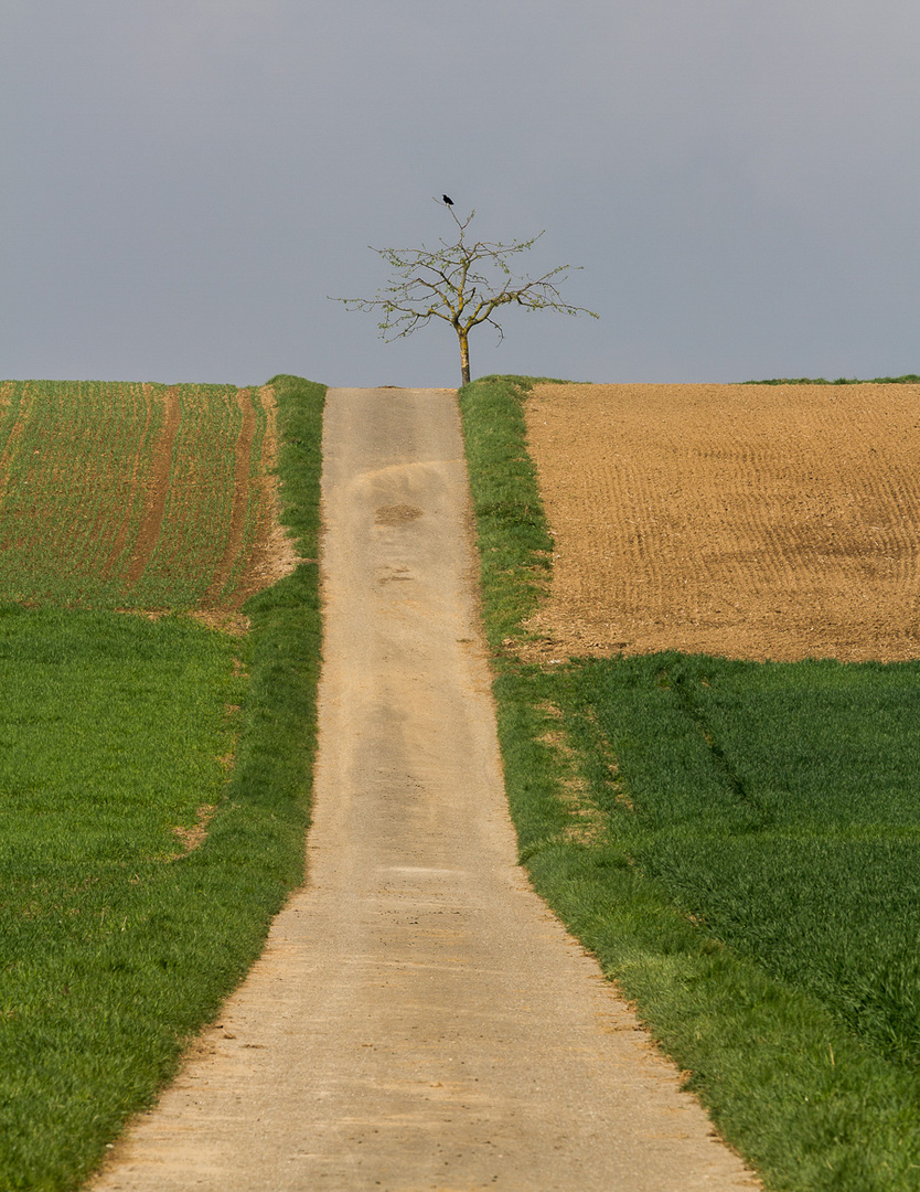 Rabenbaumweg