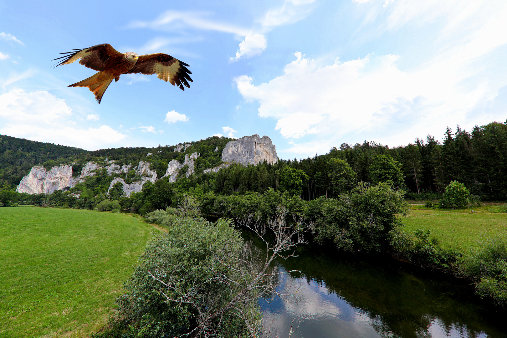 Rabenfelsen mit Roter Milan ?