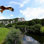 Rabenfelsen mit Roter Milan ?