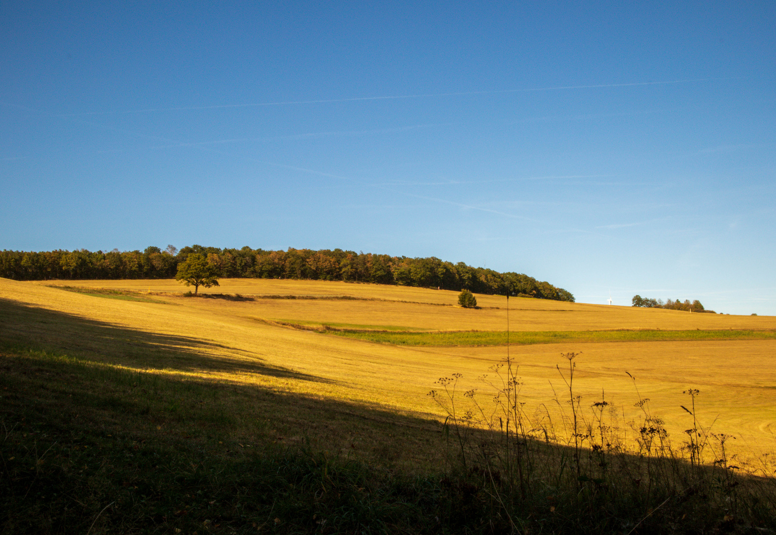 Rabenhain Herbst 20