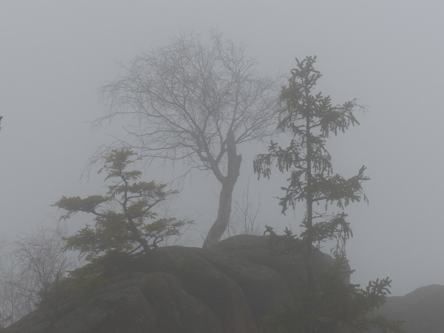 Rabenklippen im Nebel