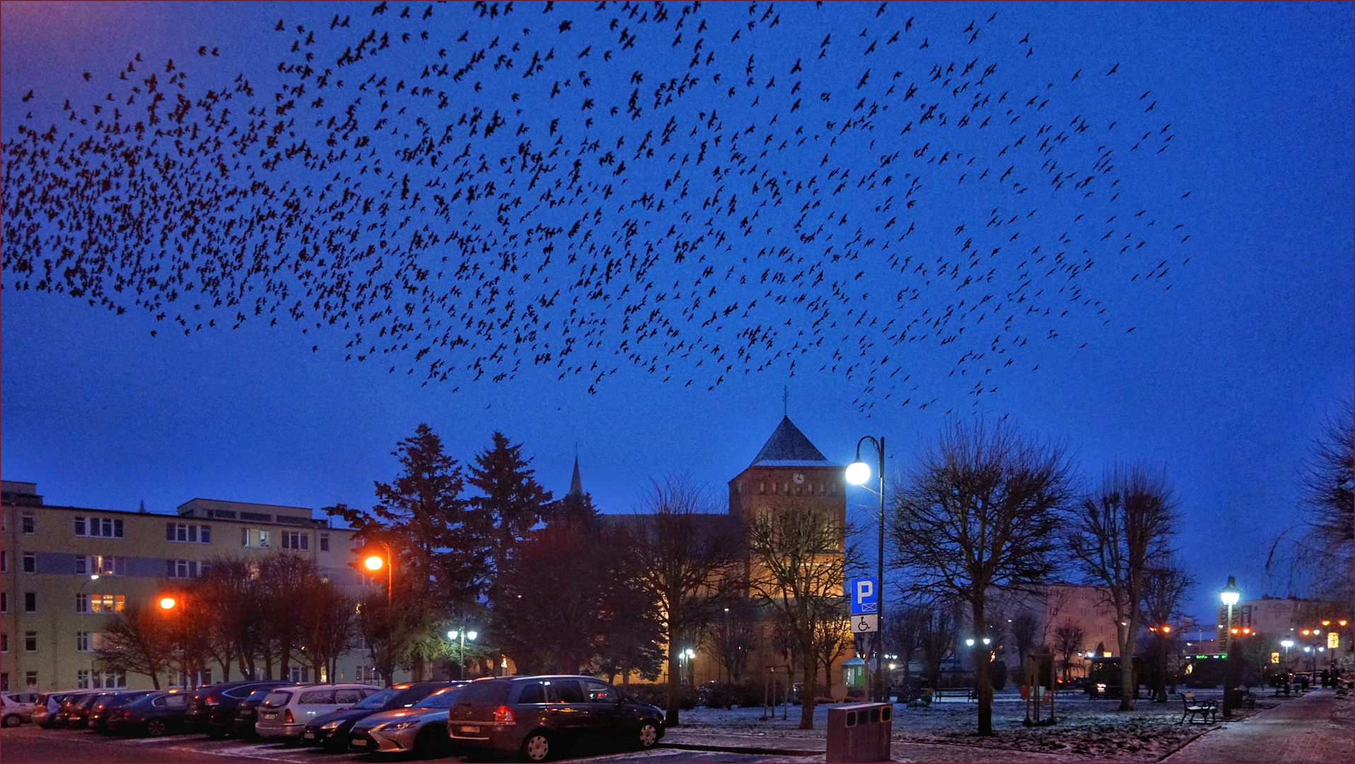 Rabenvögel über der Stadt ...