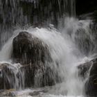 Rabiosa Schlucht in Passugg/Graubünden