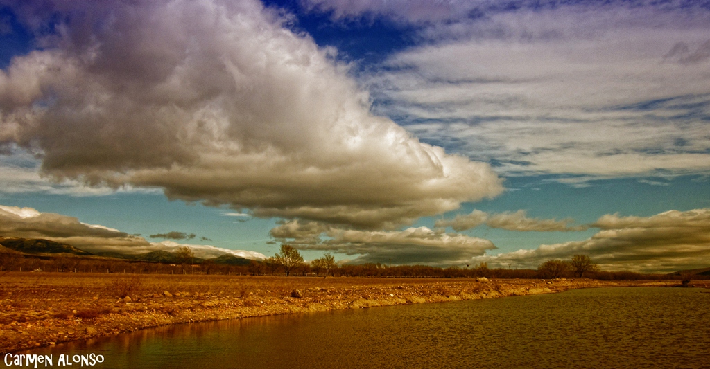 Rabo de nube