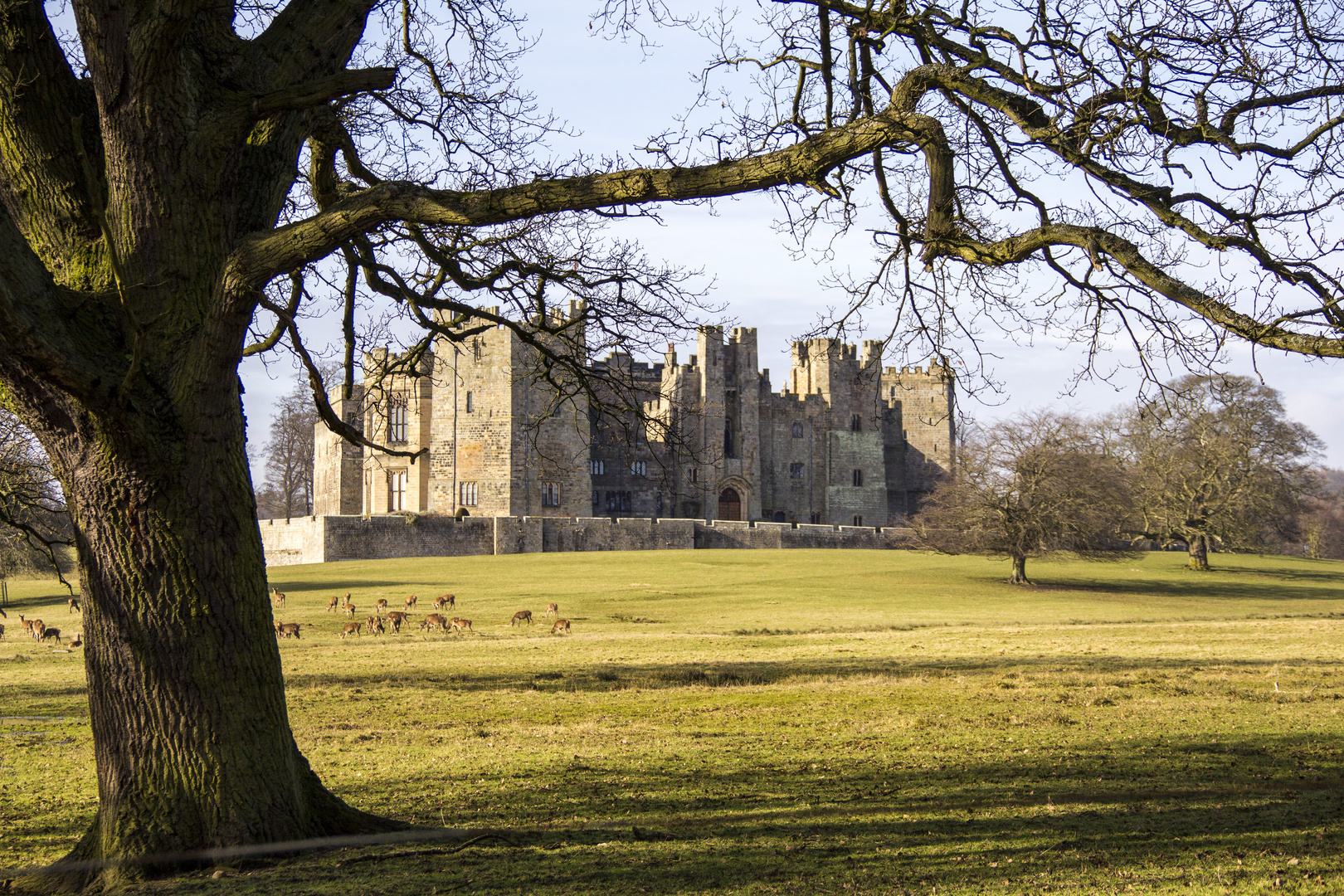 Raby Castle in the sun.