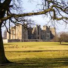 Raby Castle in the sun.