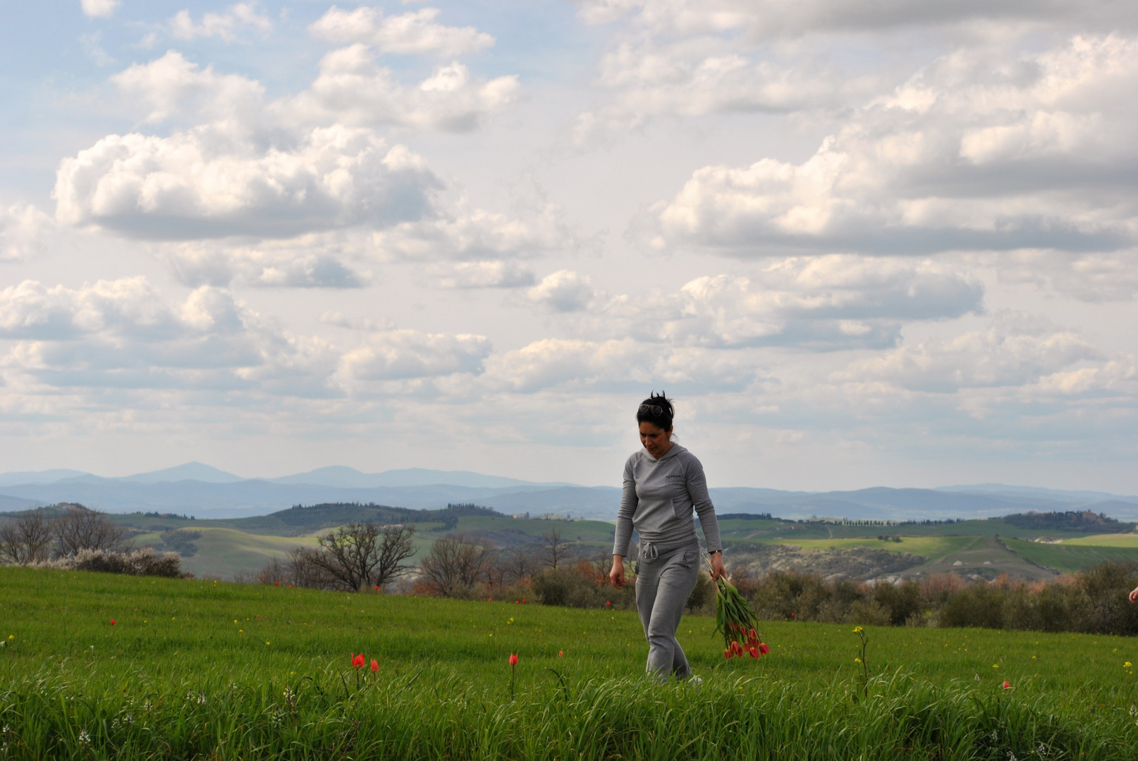 Raccoglie un pezzo di Toscana