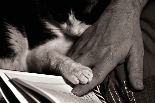 Raccontami una favola.........