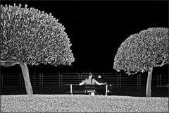 racconti nella notte