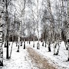 Racconto d'inverno - Winter's Tale - Wintermärchen