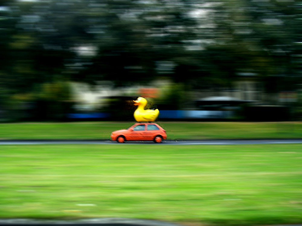 race duck