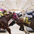 Race to the Checkout