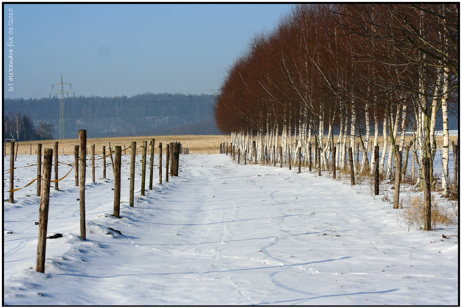 . race track in winter .