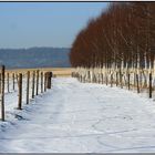 . race track in winter .