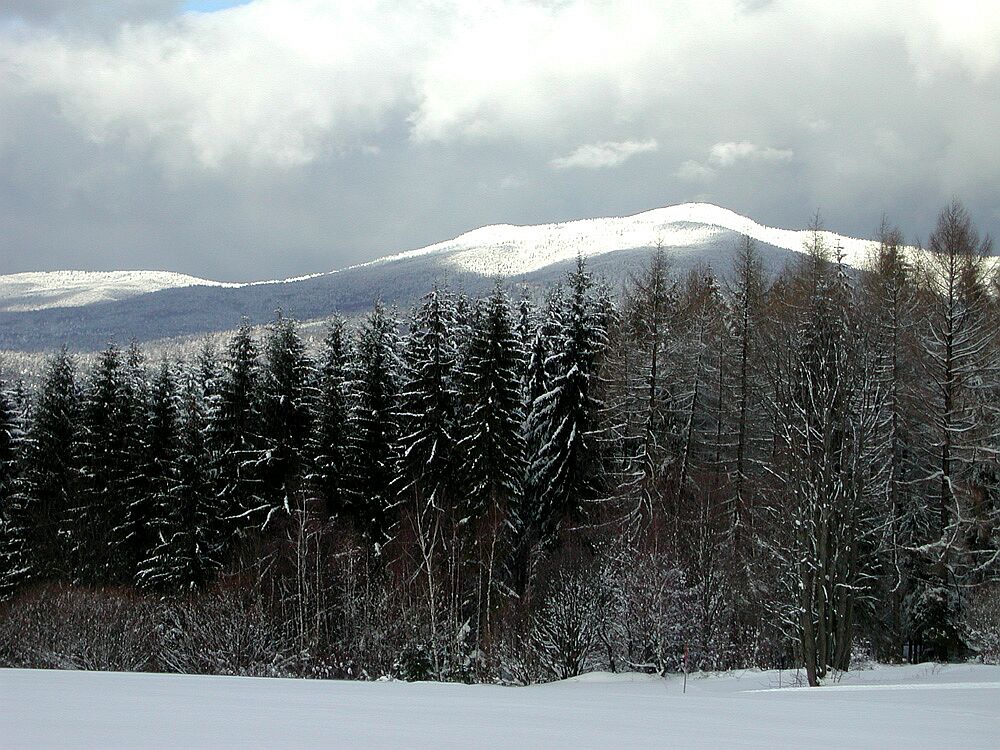 Rachel - Winter im Bayerischen Wald