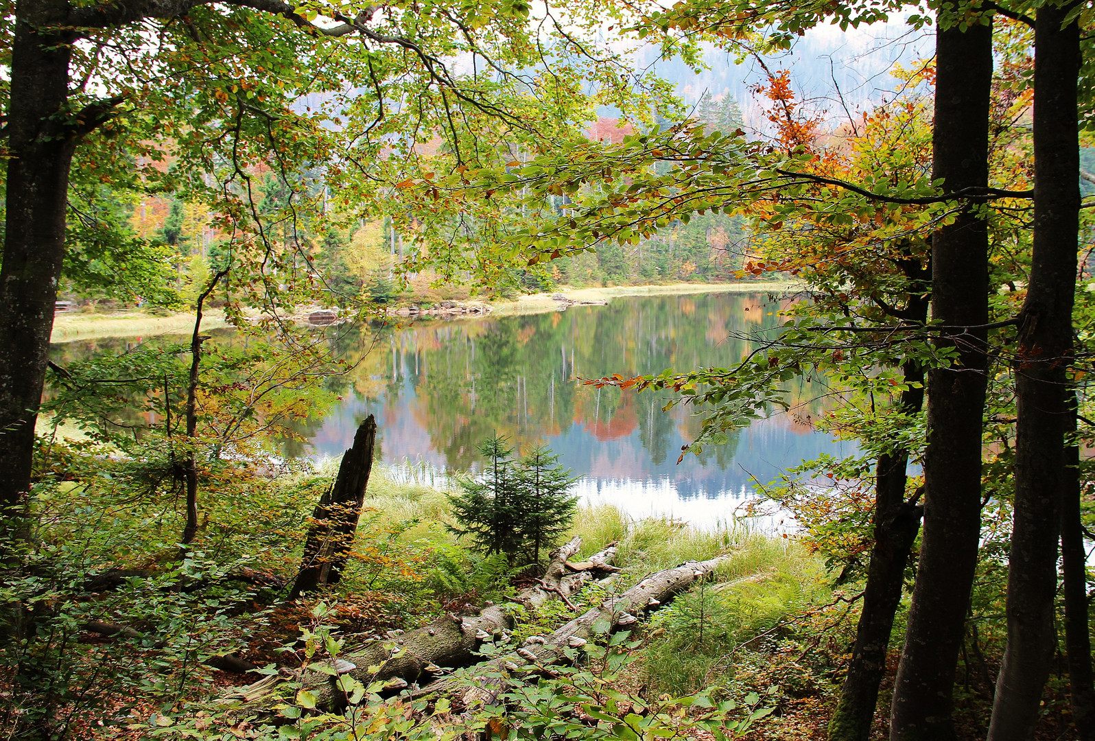 Rachelsee im Herbst