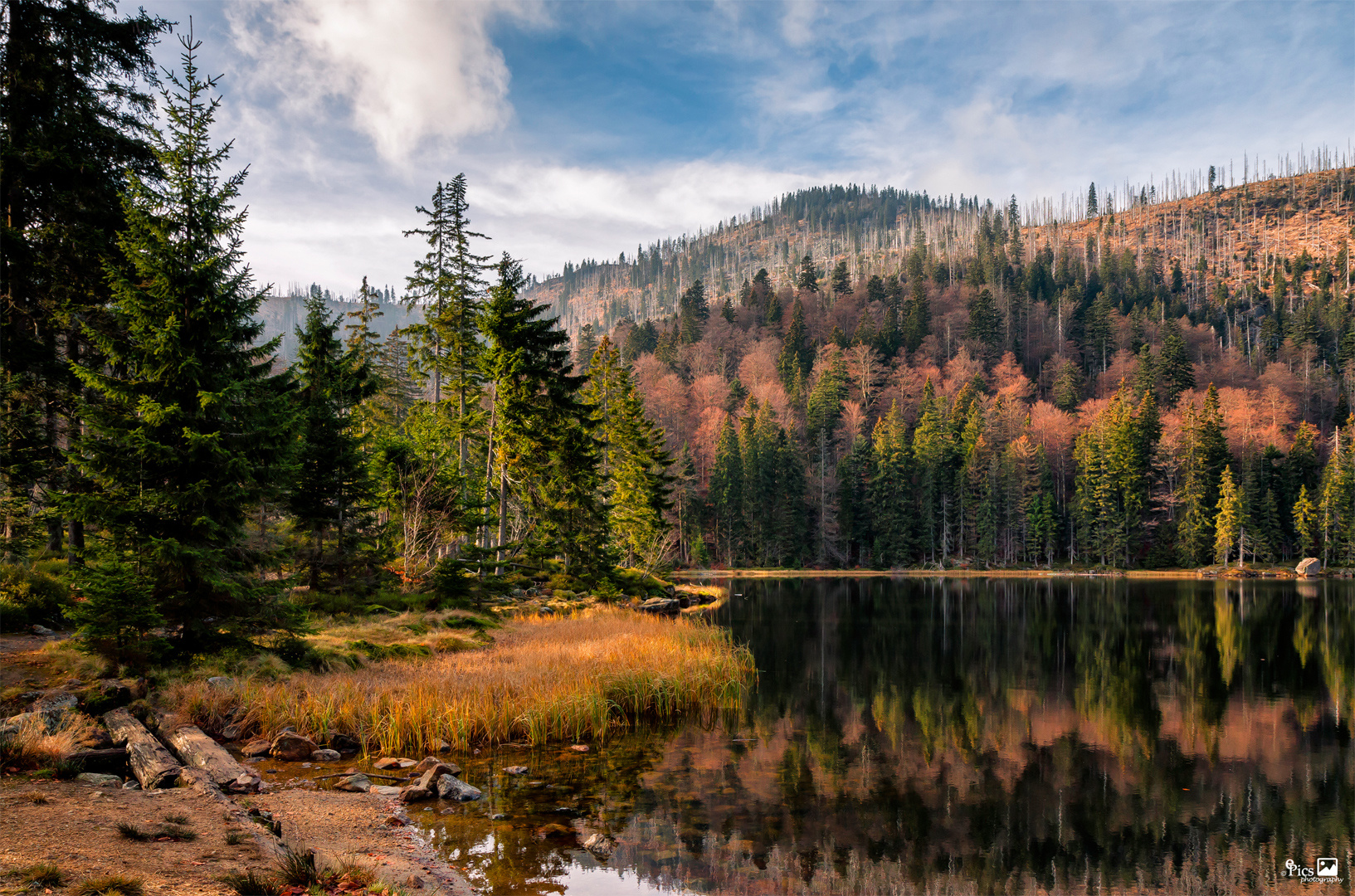 Rachelsee im Herbst - Bayern324