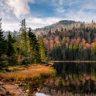 Rachelsee im Herbst - Bayern324