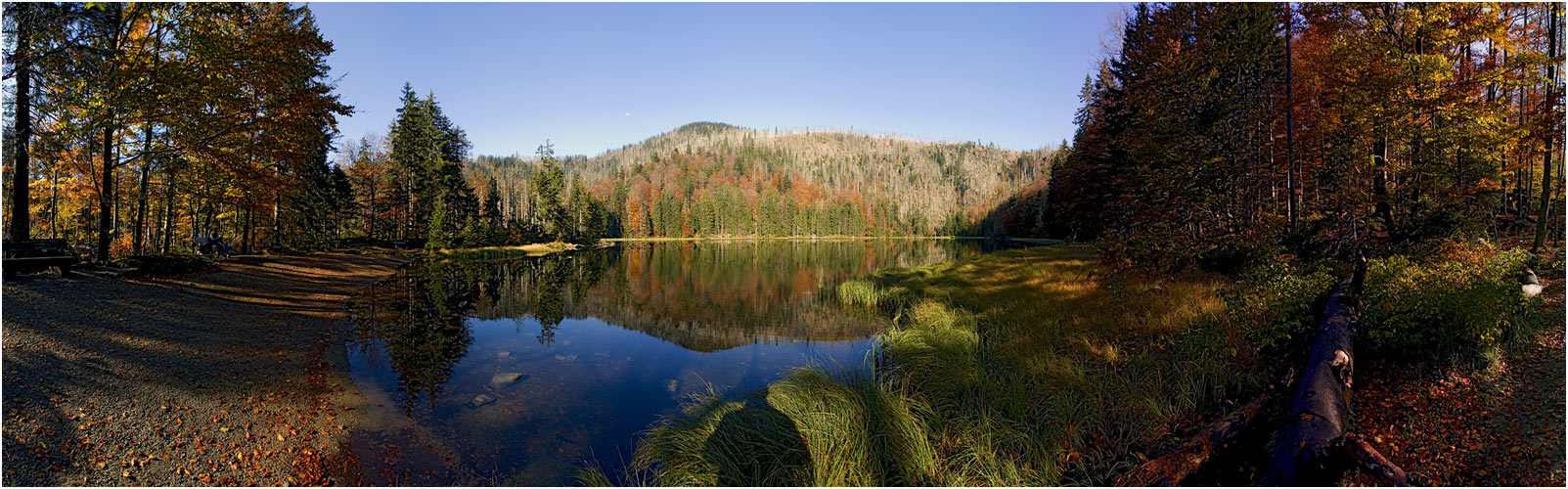 RACHELSEE PANORAMA