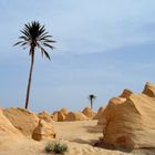 Racines de dunes à Bechri