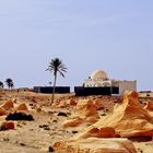 Racines de dunes près de Bechri  -  Tunisie