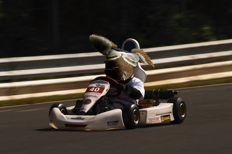 Racing Bunny