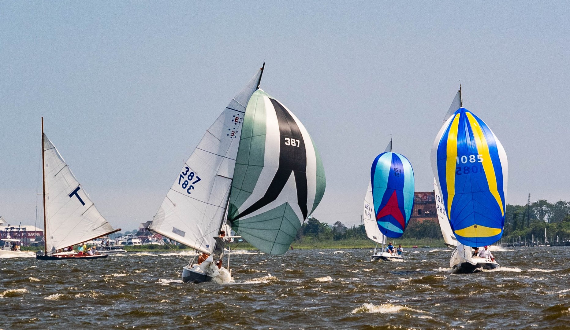 Racing Sailboats