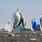 Racing Sailboats