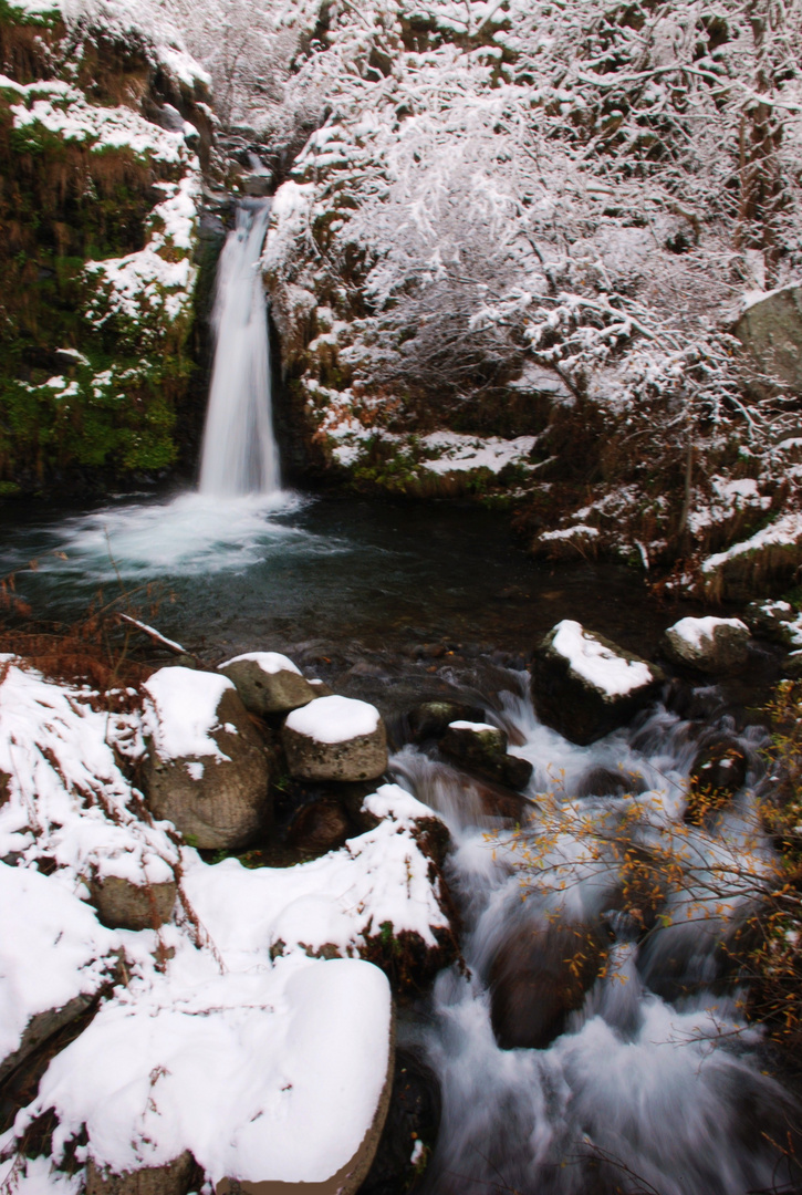 Racó d´hivern /  Rincón de invierno / Winter corner 