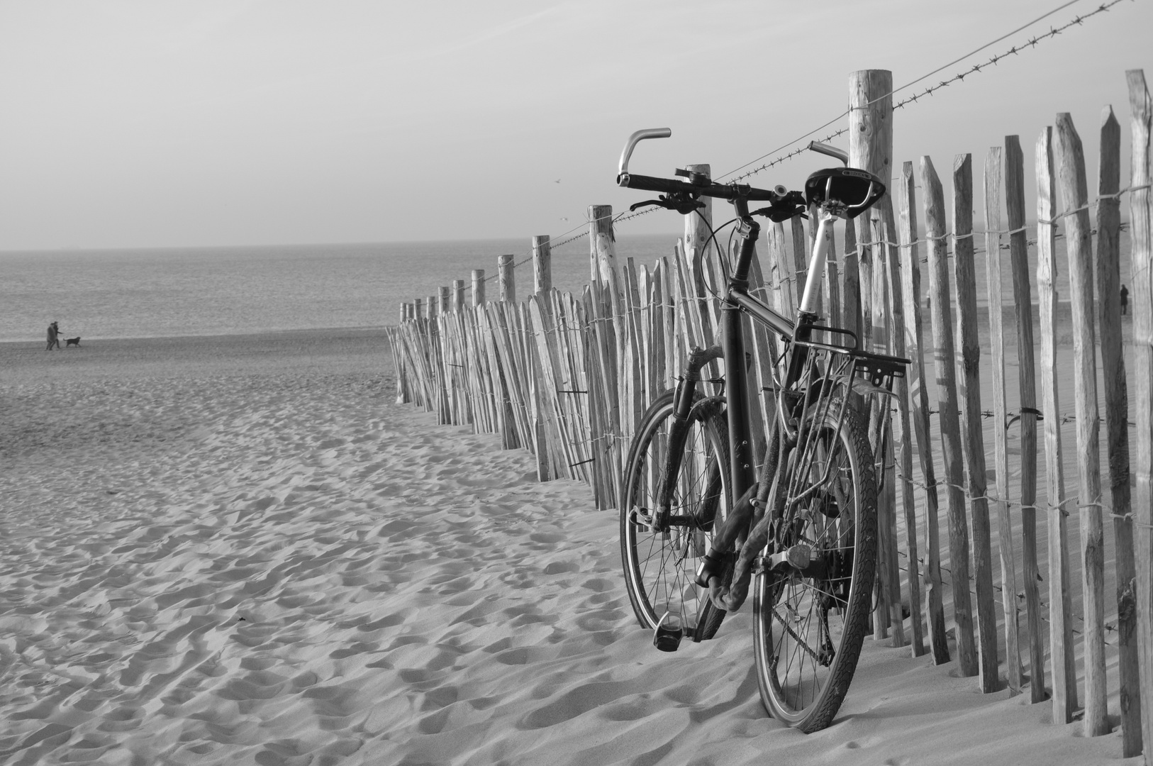 Rad am Strand