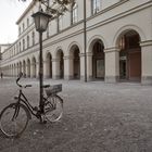 Rad im Hofgarten