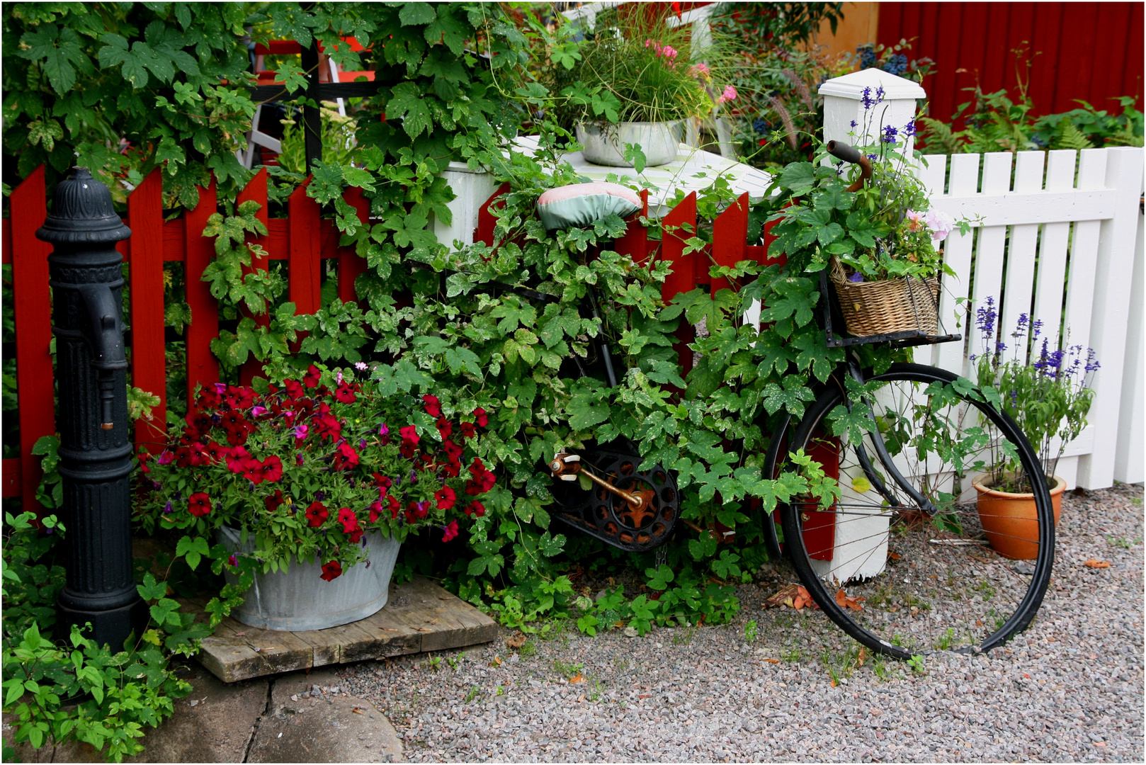 Rad- und Gartenkultur