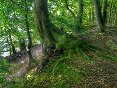 Rad- und Wanderweg am Schweriner See