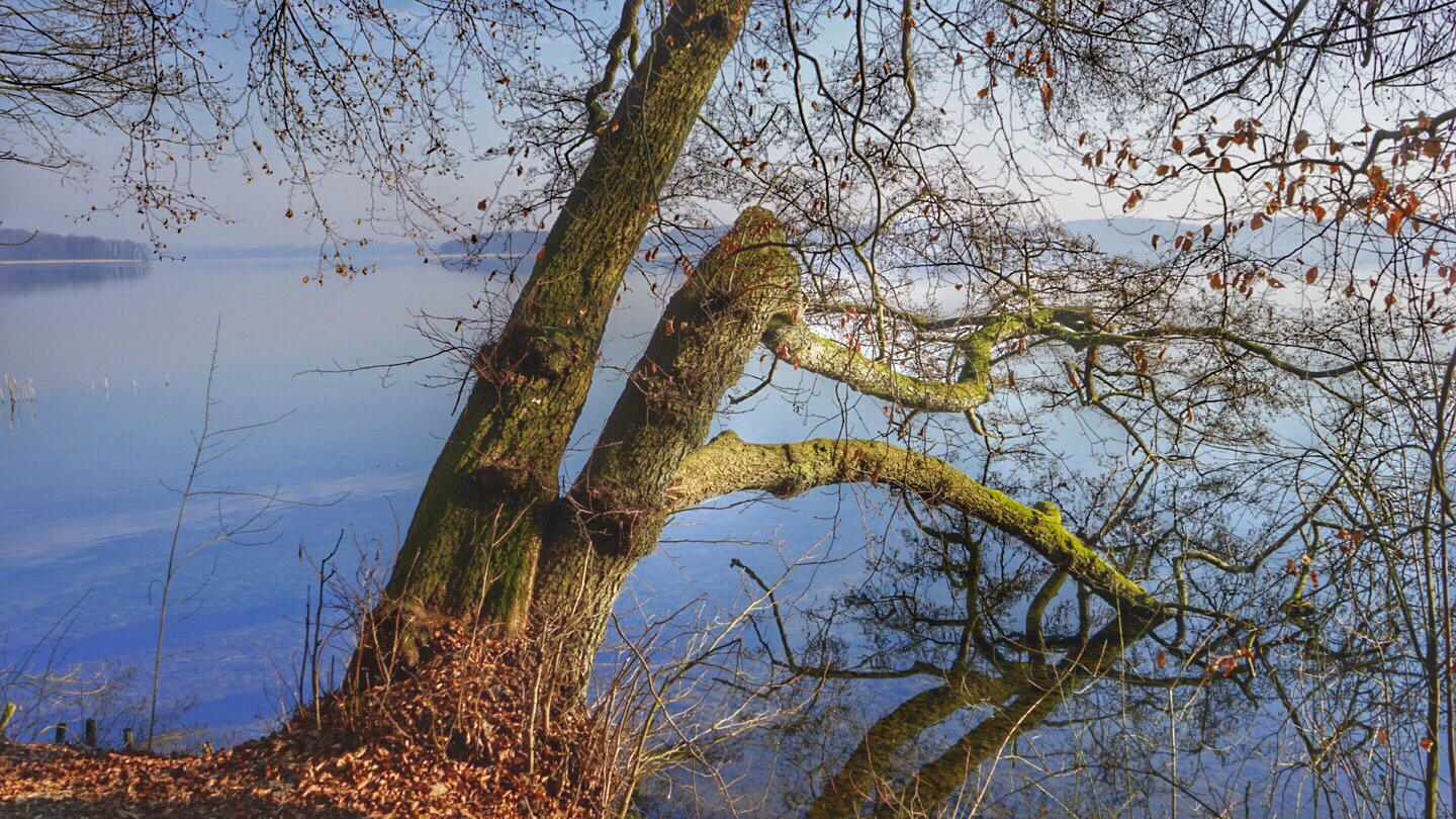 Rad- und Wanderweg am Schweriner See