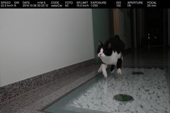 radarCat_image63