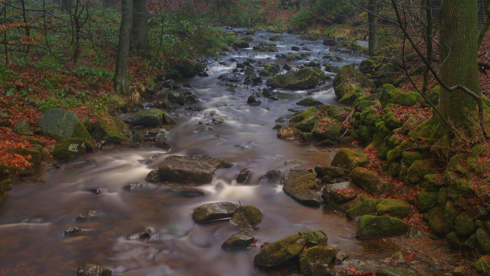 Radau im Harz