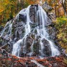 Radau-Wasserfall | Harz