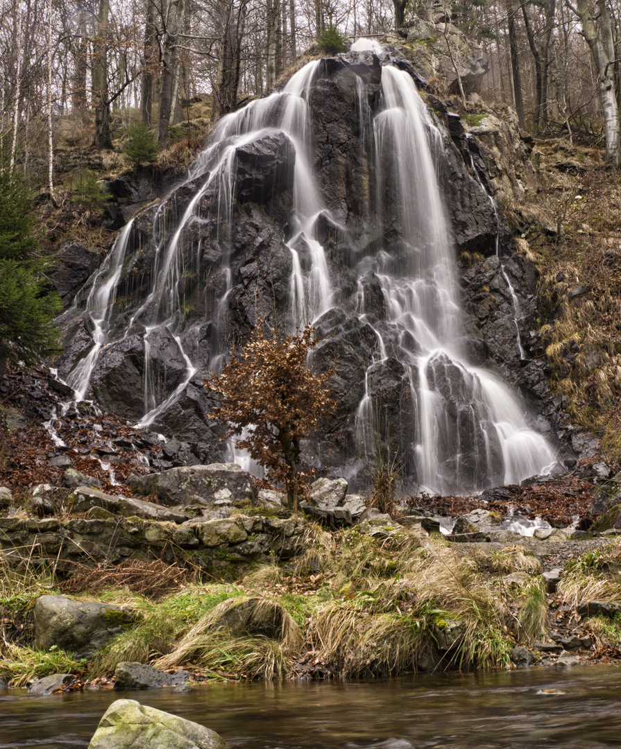 Radau Wasserfall im Harz