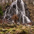 Radau Wasserfall im Harz