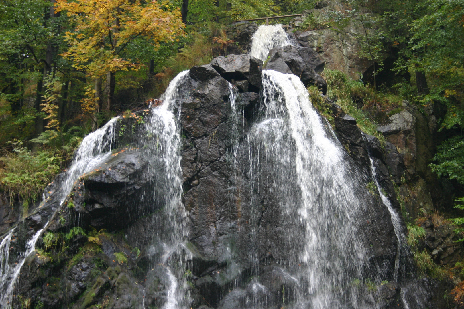 Radau Wasserfall im Harz