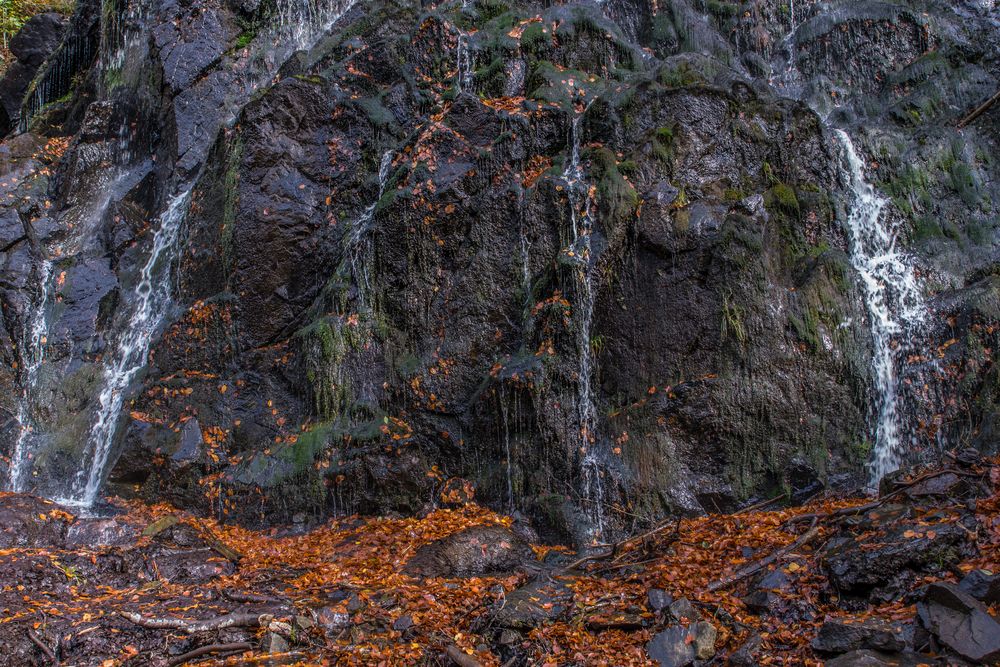 Radauwasserfall II - Harz/Niedersachsen