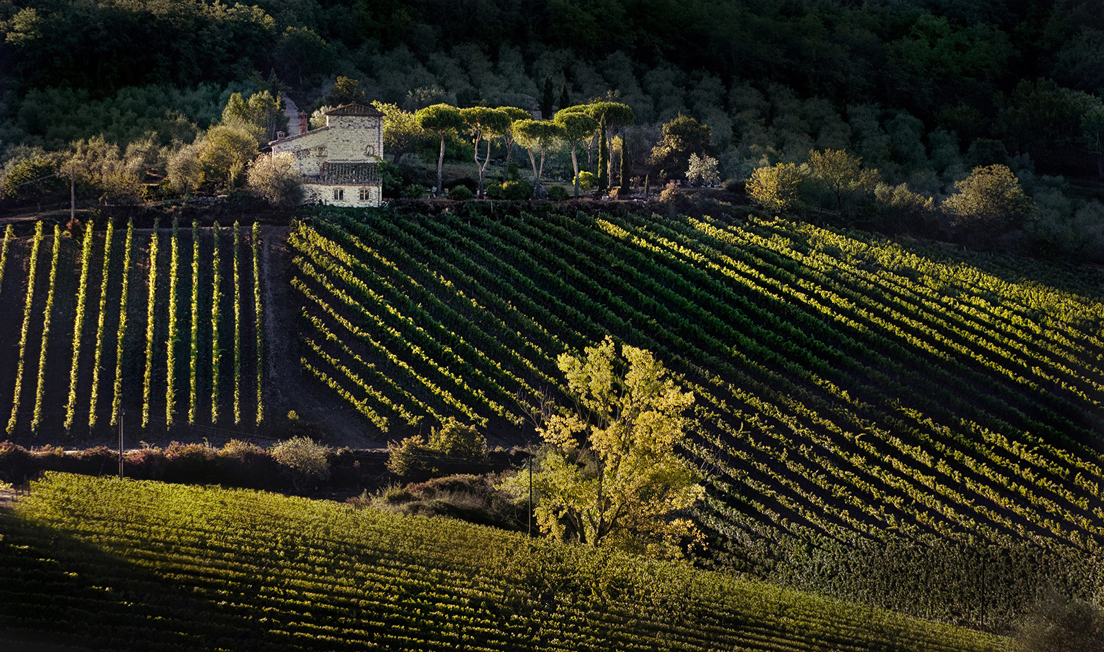  Radda in Chianti