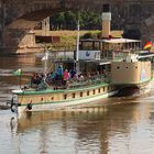 Raddampfer auf der Elbe bei Dresden