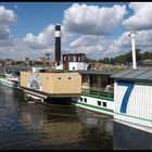 " Raddampfer auf der Elbe, Dresden "