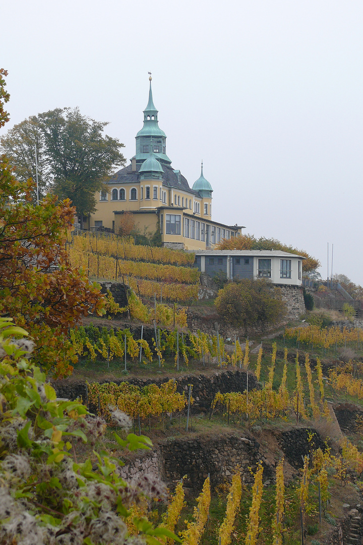 Radebeul bei Dresden - Spitzhaus