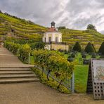 Radebeul Belvedere Schloss Wackerbarth