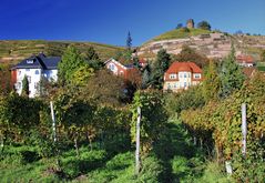 Radebeul mit Bismarckturm