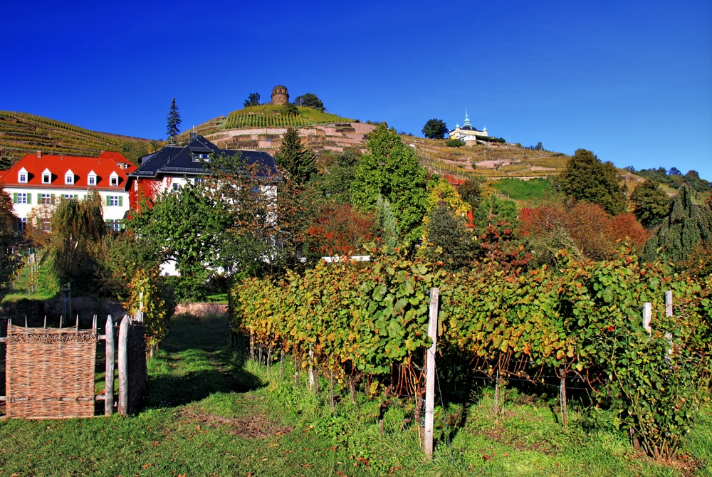 Radebeul mit Bismarckturm und Spitzhaus